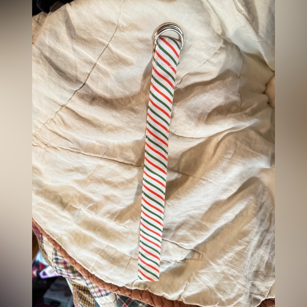 Striped SWAP WATCH BAND with Metal Buckle NEW